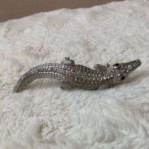 Alligator Hair Clip